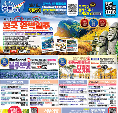 02/13/2026 달라스 최신 신문광고 - DK NET판 지난주