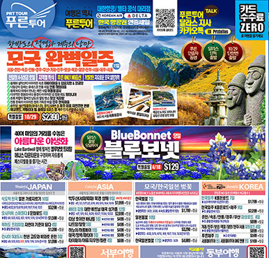 03/13/2026 달라스 최신 신문광고 - DK NET판 지난주