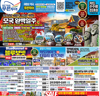 04/10/2026 달라스 최신 신문광고 - DK NET판 지난주