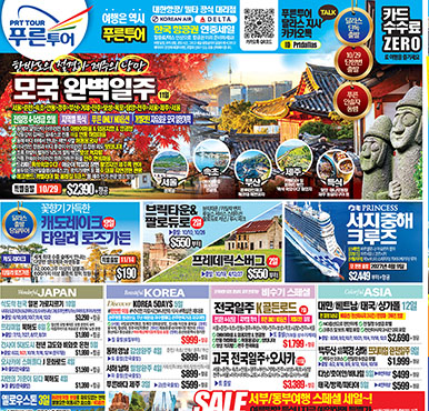 06/05/2026 달라스 최신 신문광고 - DK NET판 지난주