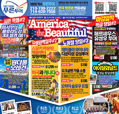 08/11/2026 LA 스포츠신문 화요일 전체판