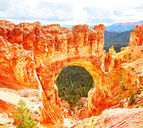 (Las Vegas) 브라이언 권님께 감사합니다.