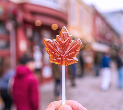 미 동부 캐나다의 여행에서 명품 가인드 이중사를 만나다