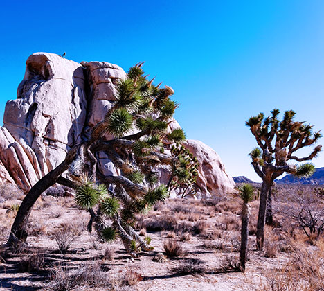 양기영,신현우,그레이스 가이드님 감사했어요