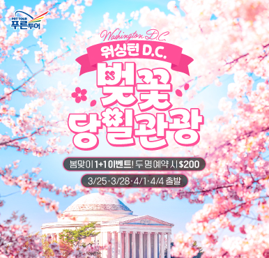 뉴욕출발 1+1 이벤트 ❁ 워싱턴 D.C. 벚꽃축제 당일 투어