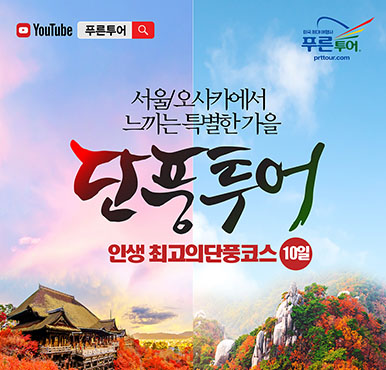 [푸른투어] 푸른투어 서울지사에서 직접 기획하고 진행하는 모국방문 <단풍> 한국 , 오사카/교토/고베 8박10일