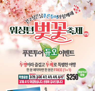 벚꽃도 절정! 할인도 절정! 