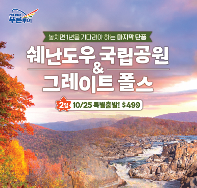 가을이 다 가기 전에, 꼭 가봐야 할 곳이 있습니다 ?