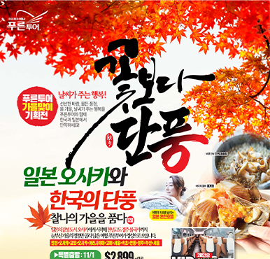 [가을 특선] 일본과 한국, 단풍으로 물드는 13일