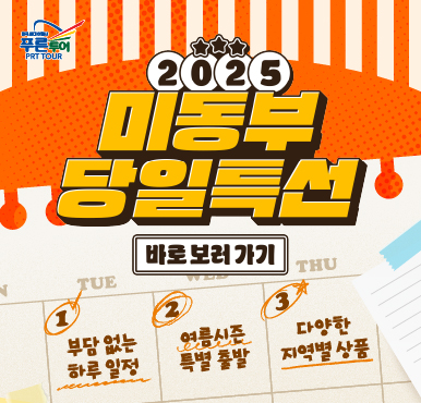 여름 한정! 지금 아니면 못 가는 미동부 명소 투어